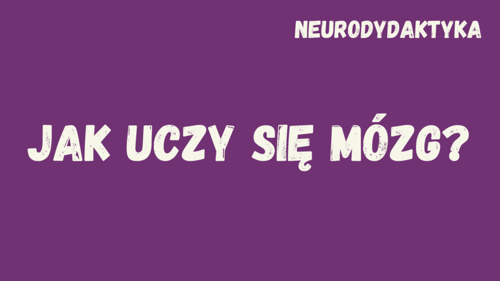 Kafelek, po klinknięciu na który zostaniesz przekierowany na stronę z kursem "Jak uczy się mózg", będącym częścią kursu "Neurodydaktyka"