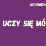 Neurodydaktyka. Jak uczy się mózg?