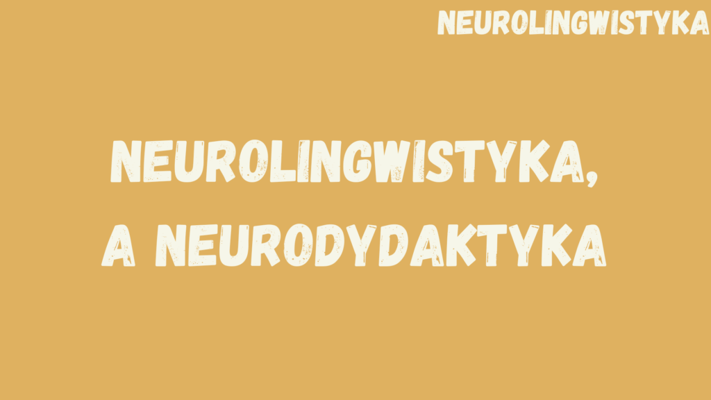 Kafelek, po kliknięciu na który zostaniesz przekierowany na stronę z kursem "Naurolingwistyka, a neurodydaktyka", będącym częścią kursu "Neurolingwistyka"