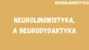 Neurolingwistyka. Neurodydaktyka a neurolingwistyka