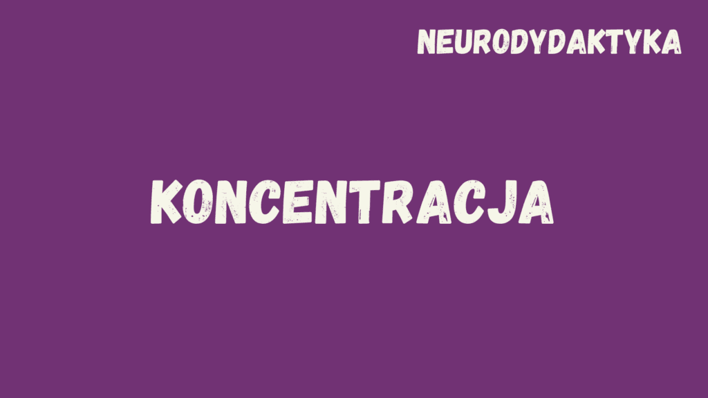 Kafelek, po kliknięciu na który zostaniesz przekierowany na stronę z kursem "Koncentracja", będącym częścią kursu "Neurodydaktyka"